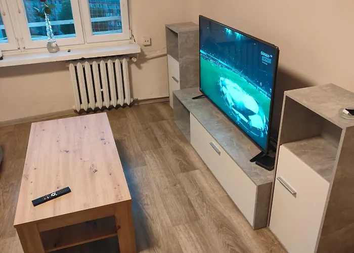 Cale Mieszkanie 2 Pokojowe,super Lokalizacja ,w Wiezowcu Z Pieknym Widokiem,2 Duze Lozka,i 1 Jednonosobowe דירה