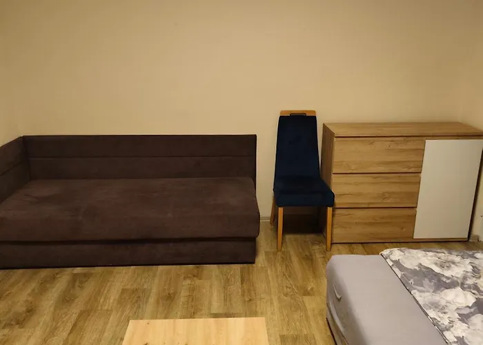 Cale Mieszkanie 2 Pokojowe,super Lokalizacja ,w Wiezowcu Z Pieknym Widokiem,2 Duze Lozka,i 1 Jednonosobowe דירה צ'סטוצ'ובה